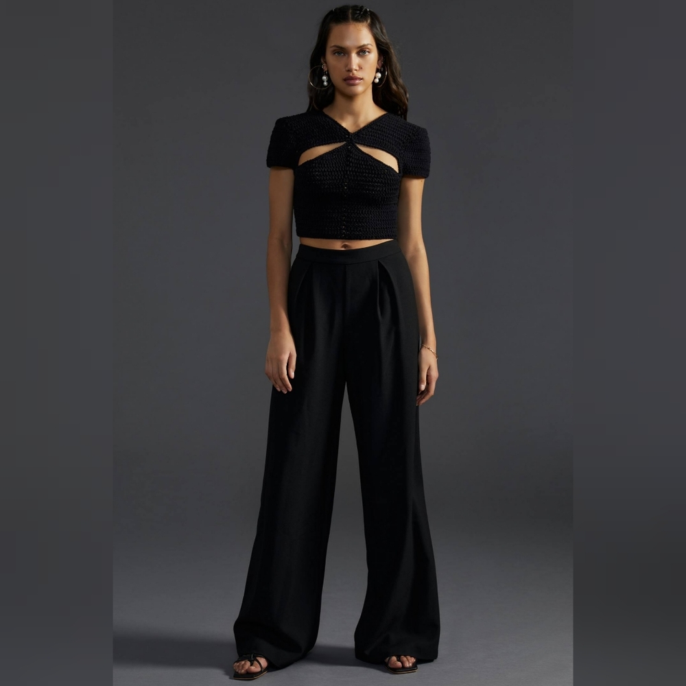 Anthropologie Hutch Pleated Black Trousers